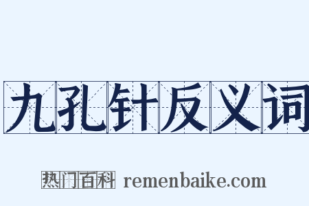 九孔针反义词是什么意思的图片
